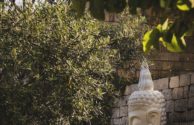 Tenuta Olive Alive - Foto 79