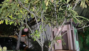 Apartamento Pimenta Rosa, 400m do mar, rua principal - Foto 3