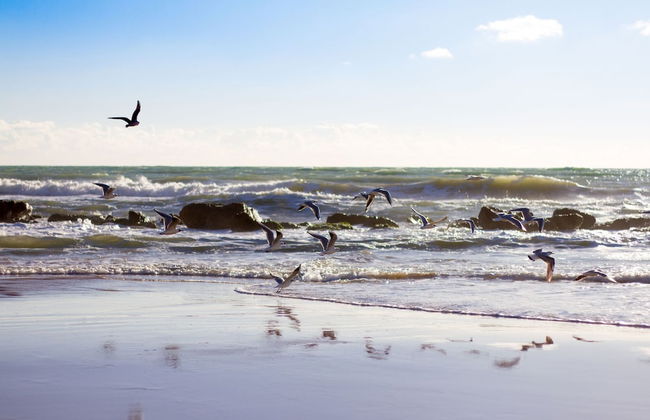 Casa Smeralda a 200 mt Dal Mare - Foto 19