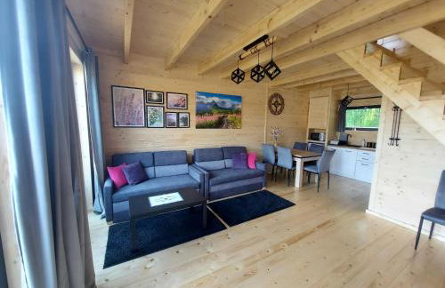 VIP Celebrity House przy Suntago, Grabska Osada Apartamenty - Photo 9