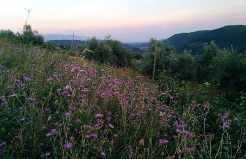 La Casa di LiLi - Foto 36