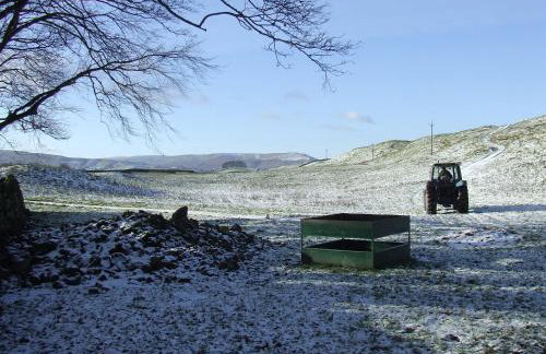 Old Camms Holiday Cottages - Photo 37