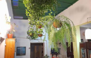 Vivienda Vacacional Sabinosa - Foto 77