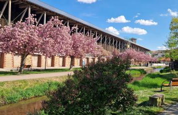 Ferienwohnung Maria! Respektvoller Umgang - Photo 3