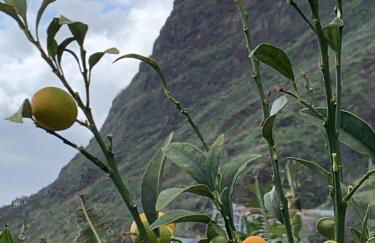 Villa O Pomar with optional heated pool - Foto 28