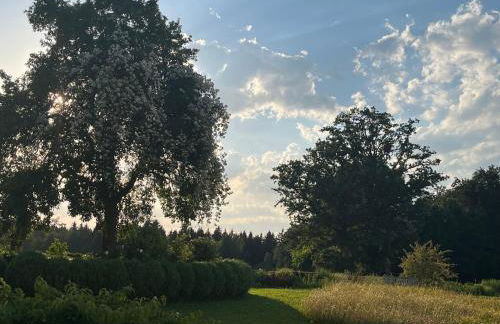 Chiemsee Exklusiv Ferienapartment Schneeganserhof - ein Refugium für längere erholsame Aufenthalte in Alleinlage am Chiemsee - Photo 25