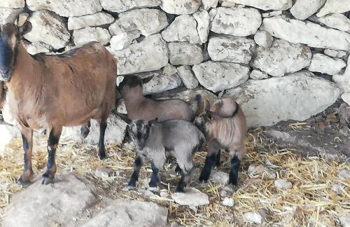 Le Grotte di Sileno - Foto 43