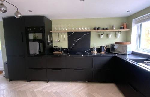 Little Chi - Photo 9