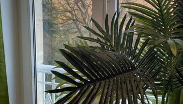 Château de Lagravade - Appartement 1 chambre - 3eme étage - Foto 2