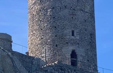 Le petit castor - Foto 31