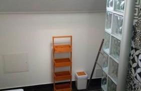 Lazy Lizard Studio - Foto 23