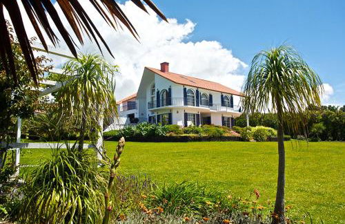 Lobo do Mar - Photo 2