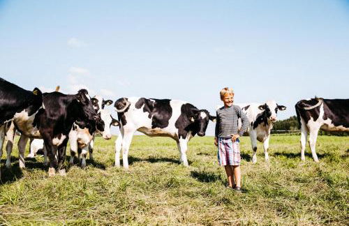 Ferienwohnung Liselotte - Foto 24