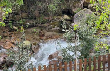 Casa da Lagoa - Foto 20