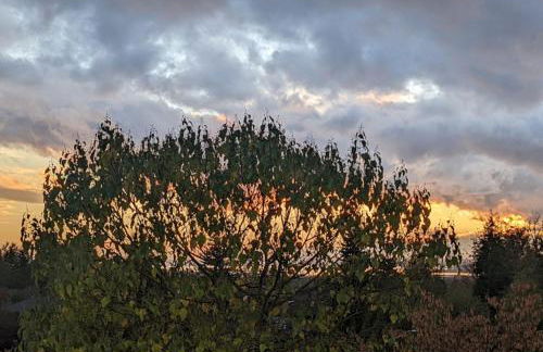 New Ridge View Marysville 3 beds 2 baths - Foto 27