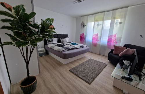 Ferienwohnung Starennest mit direktem Harzblick - Foto 1