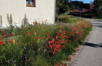 Ferienwohnung Ponlach - Foto 9