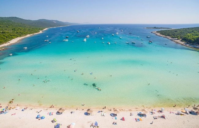 Zvone - at the Water Front - A1 - Photo 27