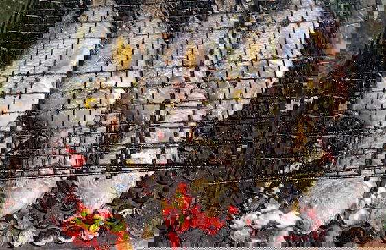 Recanto da Represa I - Foto 17