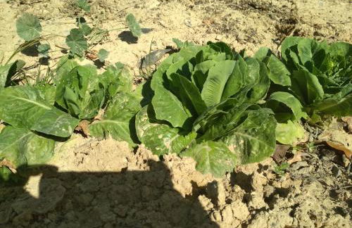 Eden Garden Luxury Loft near Knossos - Photo 49