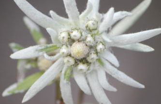 Apparthotel Marteshof - Foto 49