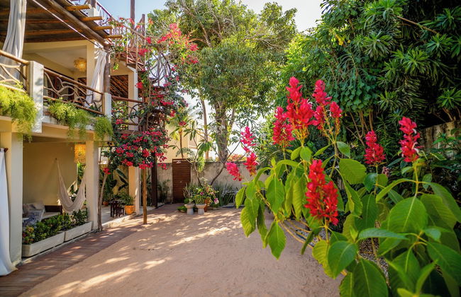 Swiss Garten Jeri - Foto 57