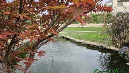 Green Bay Arachovitika - Foto 2