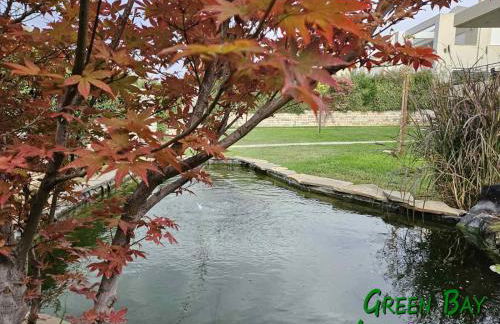 Green Bay Arachovitika - Foto 2