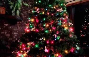 Star Hawk Springs Chateaux - Large 6 Bdrm Retreat - Foto 36