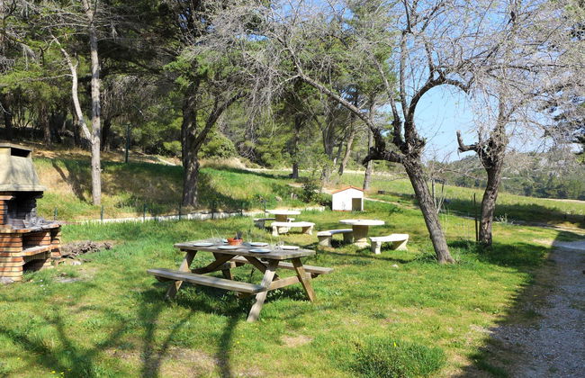 Les Vendanges - Foto 39