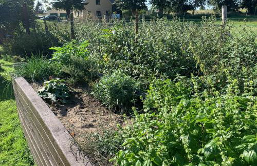 Ferienwohnung Tanja - Foto 17