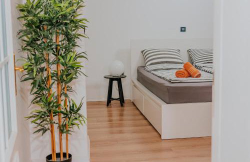 Endless Chanson - Foto 40