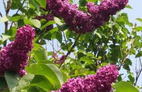 HOME4GOLF Uttlau - Foto 24