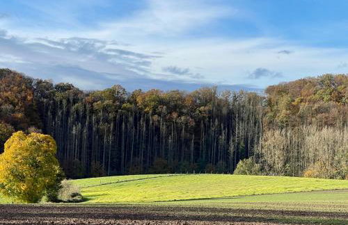 Ferienhaus Kleine Auszeit in der Natur mit Kamin, Yogamatten, schöne Küche - Foto 33