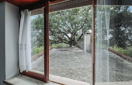 Casa Angelino - Foto 24