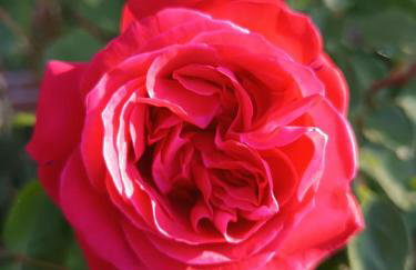 Cozy apartment in Harsum near Hildesheim - Foto 18