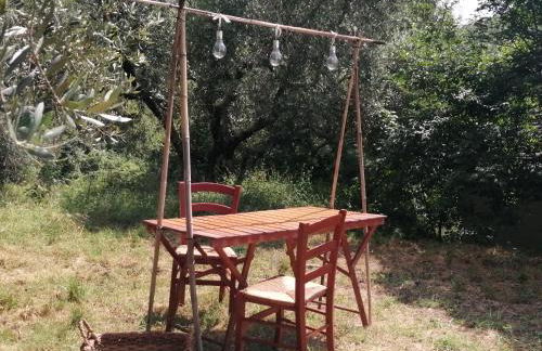 Az. Agr. IL PARADISO di Beatrice Bondielli - Foto 43