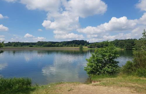 Gemütliches Ferienhaus in der Eifel mit Pool, Tennisplatz, Minigolf und nahem See - Foto 23