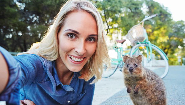 Take a selfie with a furry friend!