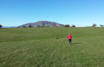 Agriturismo Ca' le Suore - Foto 138