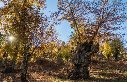 Casa Rural Castillo JABUGO - Foto 34