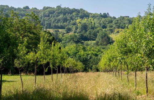 Ferrassou - château et ferme - Foto 51