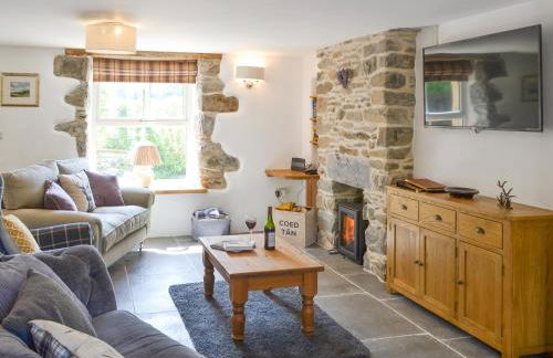 Bryn Salem - Photo 4