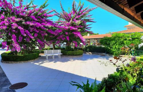 QM - Quinta da Morgadinha - Casa em Quinta Rural - Foto 5