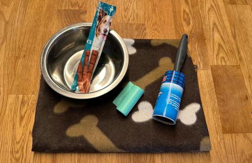 Juwel von Koserow! Ferienwohnung mit Terrasse und kleinem Garten - Foto 24