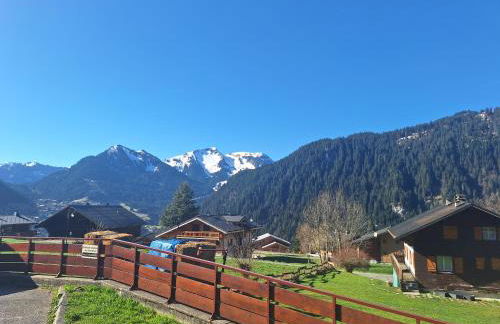 Alpine ski apartment - Petit Châtel - Foto 19