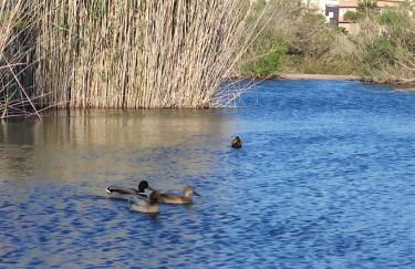 Playa Serena Zen - Foto 30