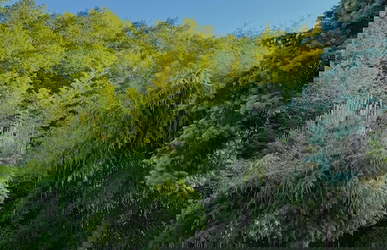 secret valley - Foto 23