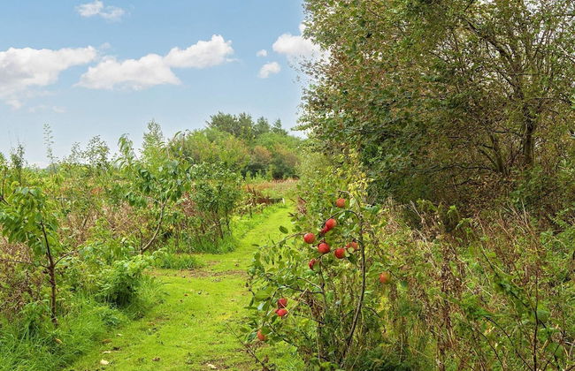 8 Person Holiday Home in Ulfborg - Foto 21