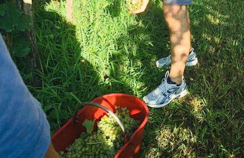 Incanto del Garda - Foto 24